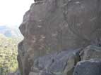 Petroglyph panel