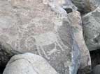 Zoomorphic petroglyph