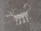 Zoomorphic petroglyph