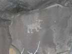Zoomorphic petroglyph