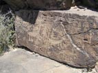 Petroglyph panel