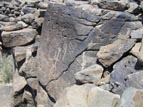 Petroglyph panel