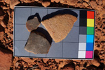 Pot sherds