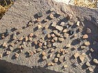 Pot sherds collected by over-enthusiastic visitors
